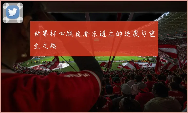 世界杯回顾南非东道主的逆袭与重生之路