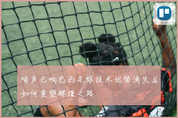 哨声已响巴西足球技术优势消失后如何重塑辉煌之路